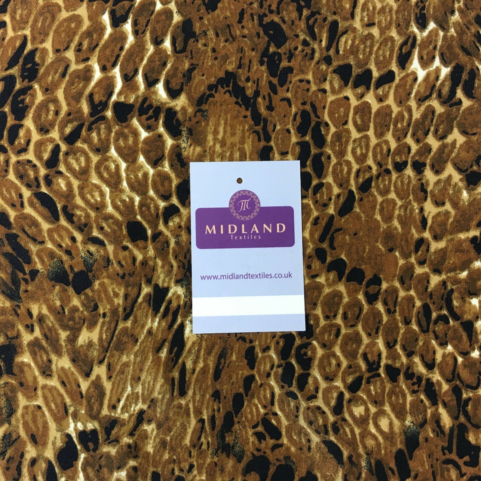Thumbnail 10